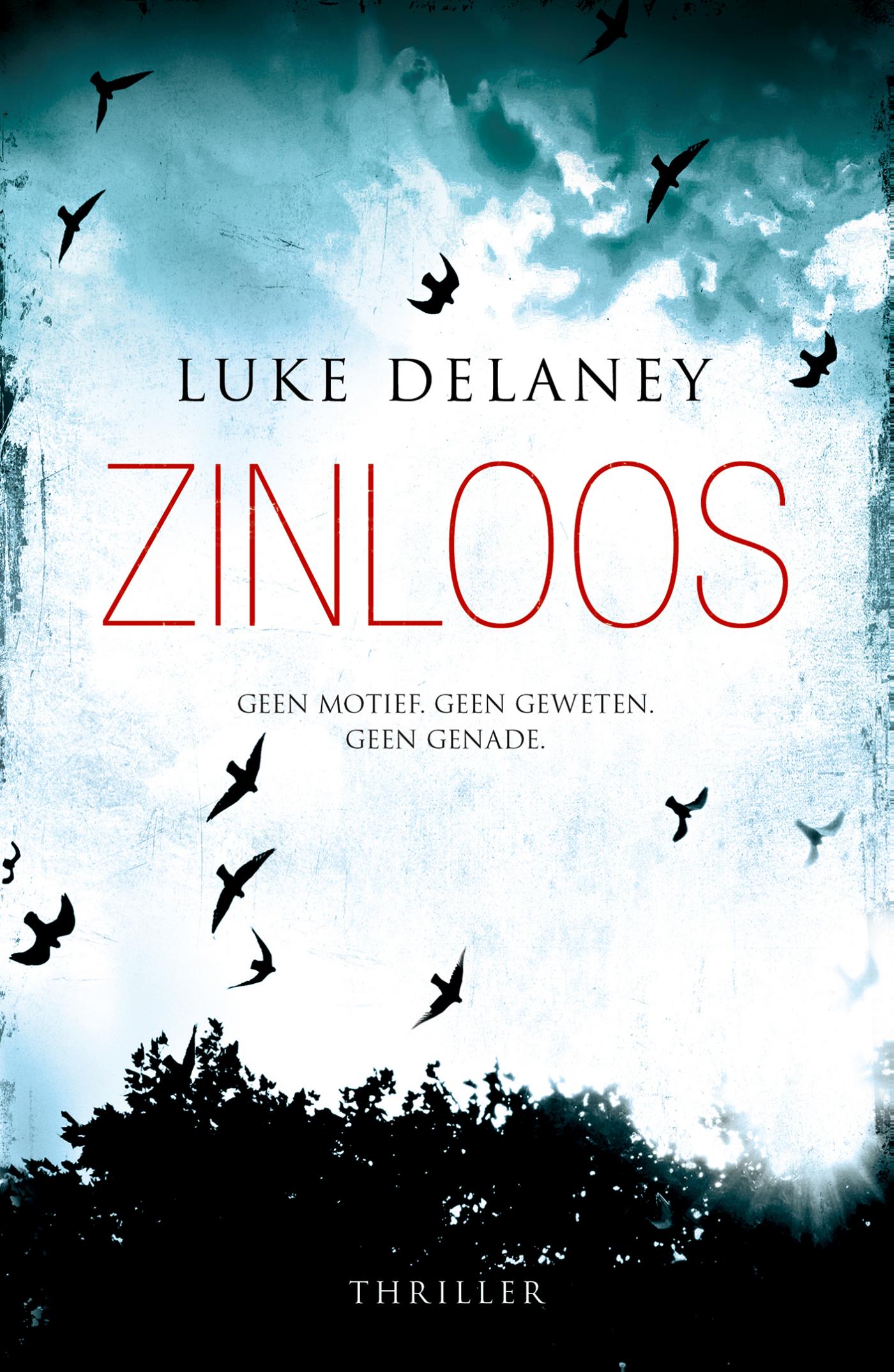 Omslag van Zinloos