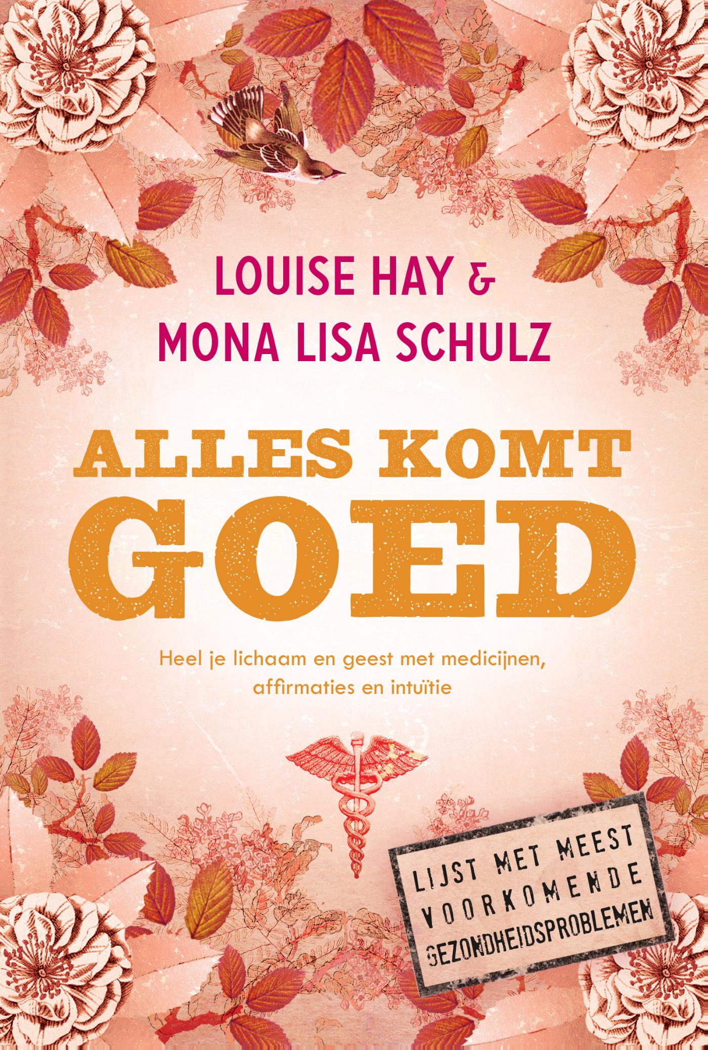 Omslag van Alles komt goed