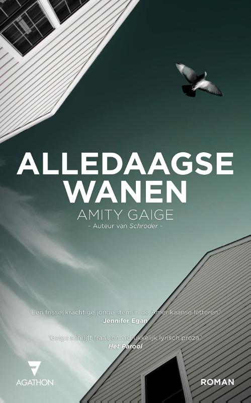 Omslag van Alledaagse wanen