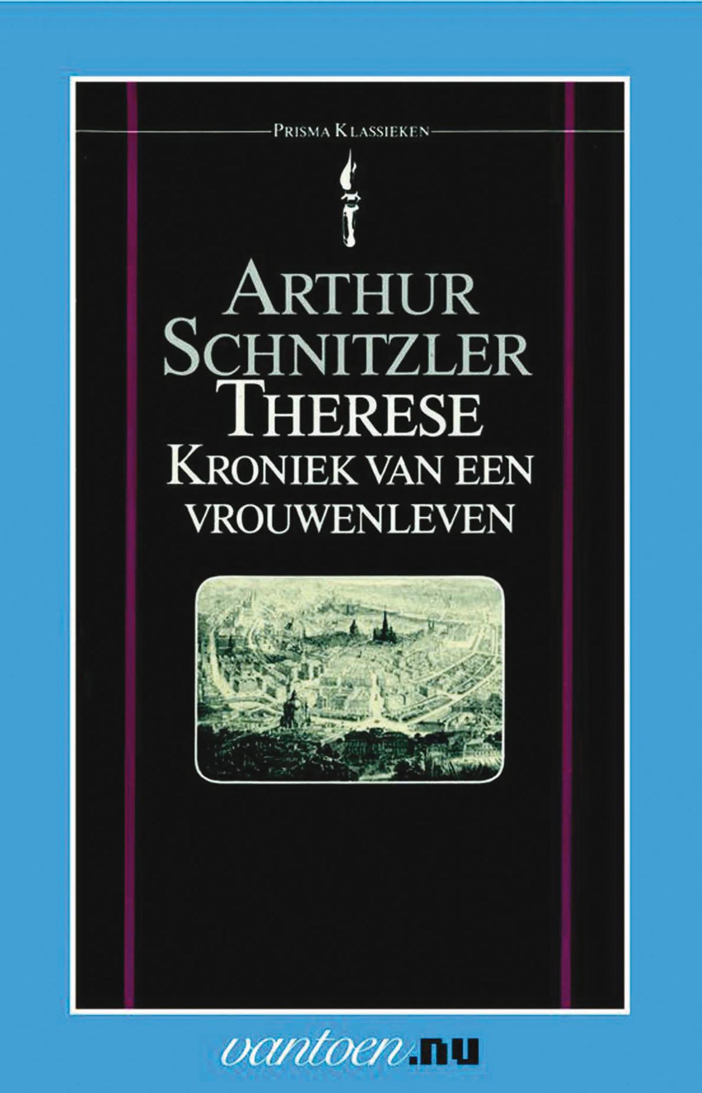 Omslag van Therese, kroniek van een vrouwenleven