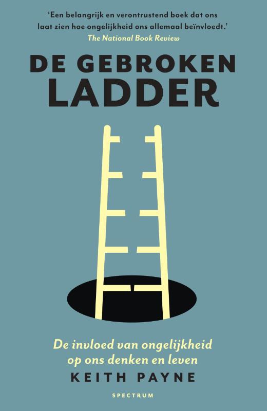 Omslag van De gebroken ladder