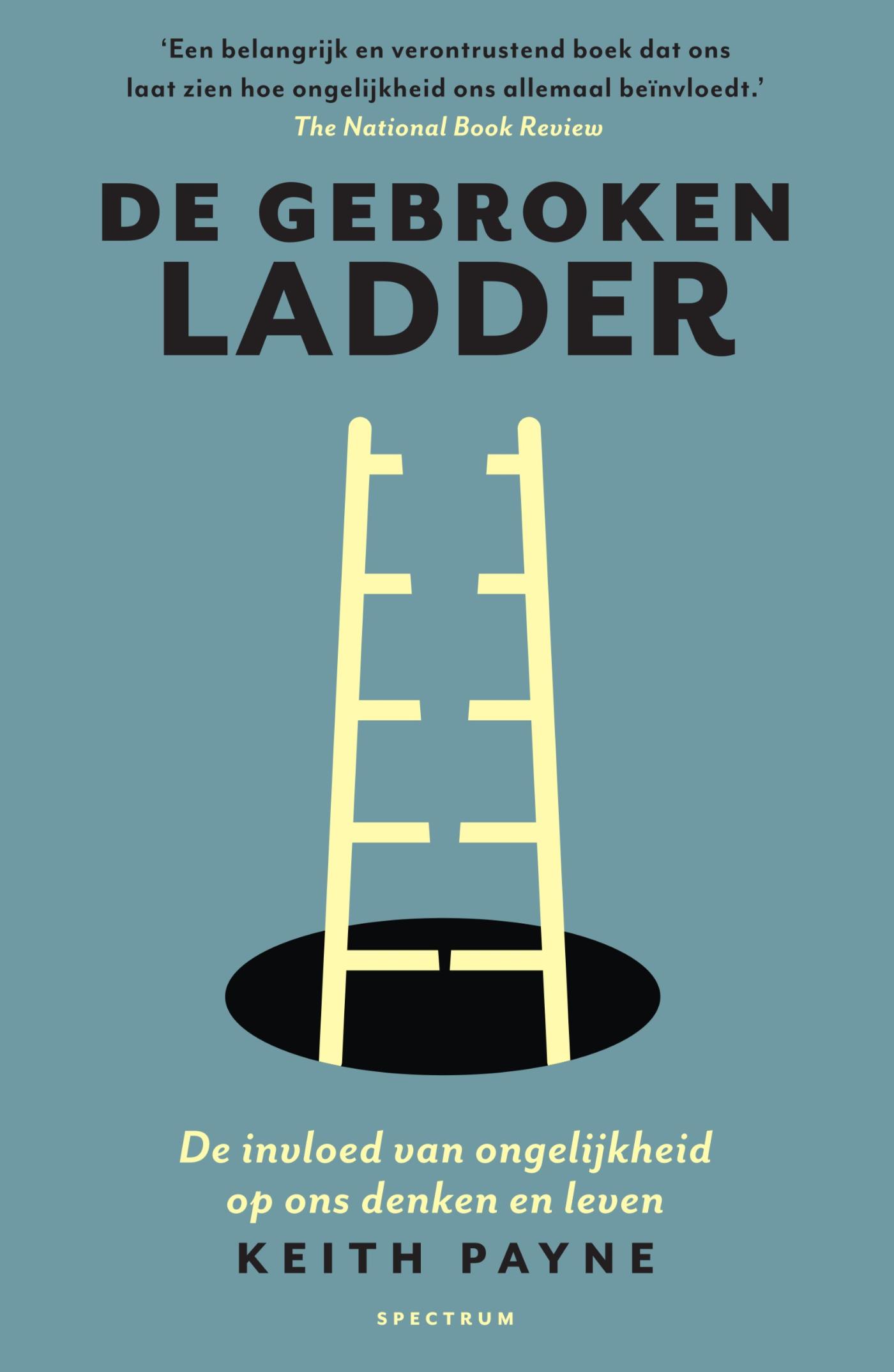 Omslag van De gebroken ladder