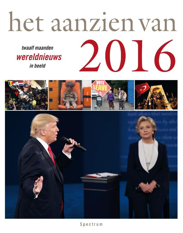 Omslag van Het aanzien van 2016