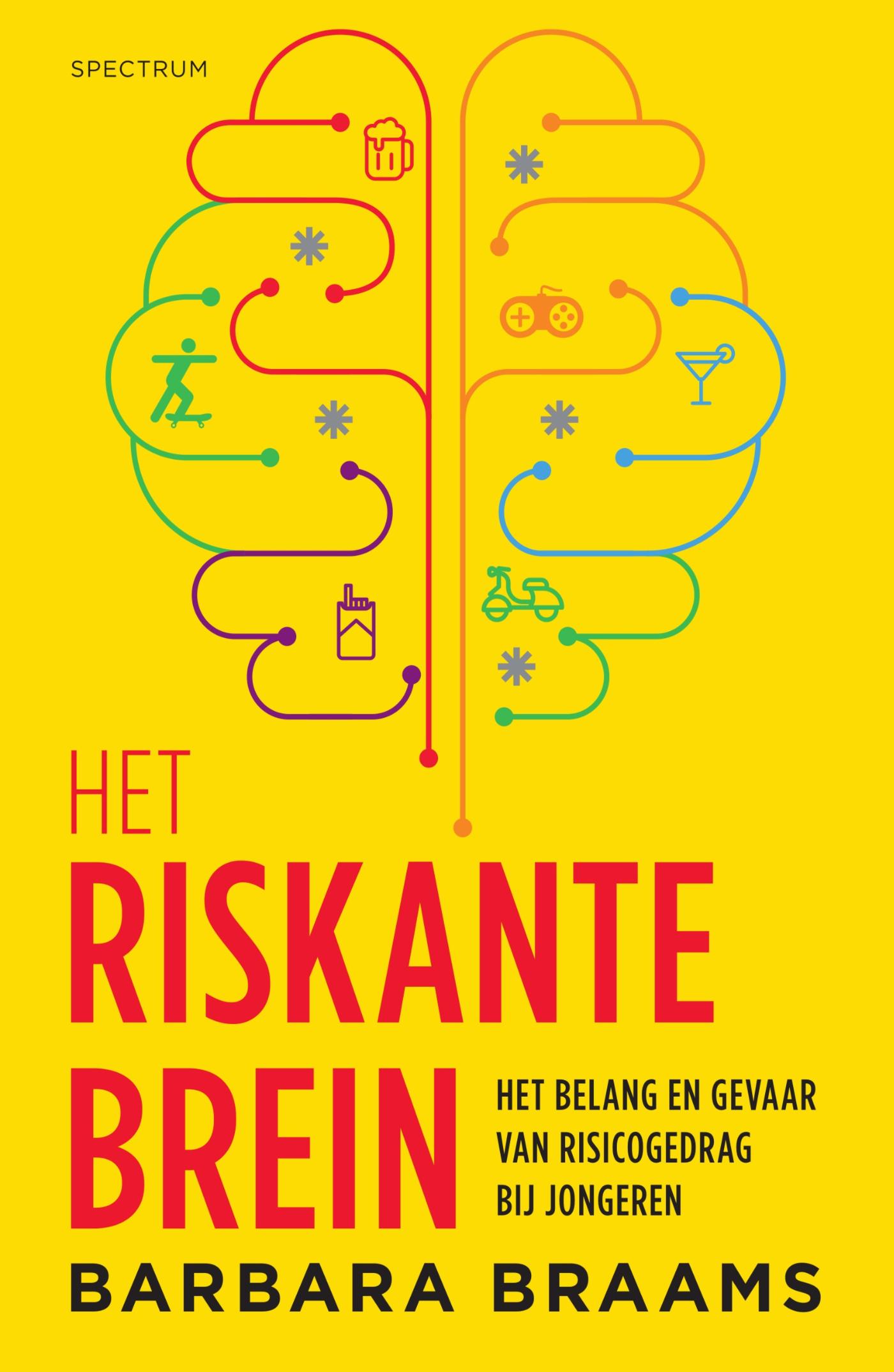 Omslag van Het riskante brein