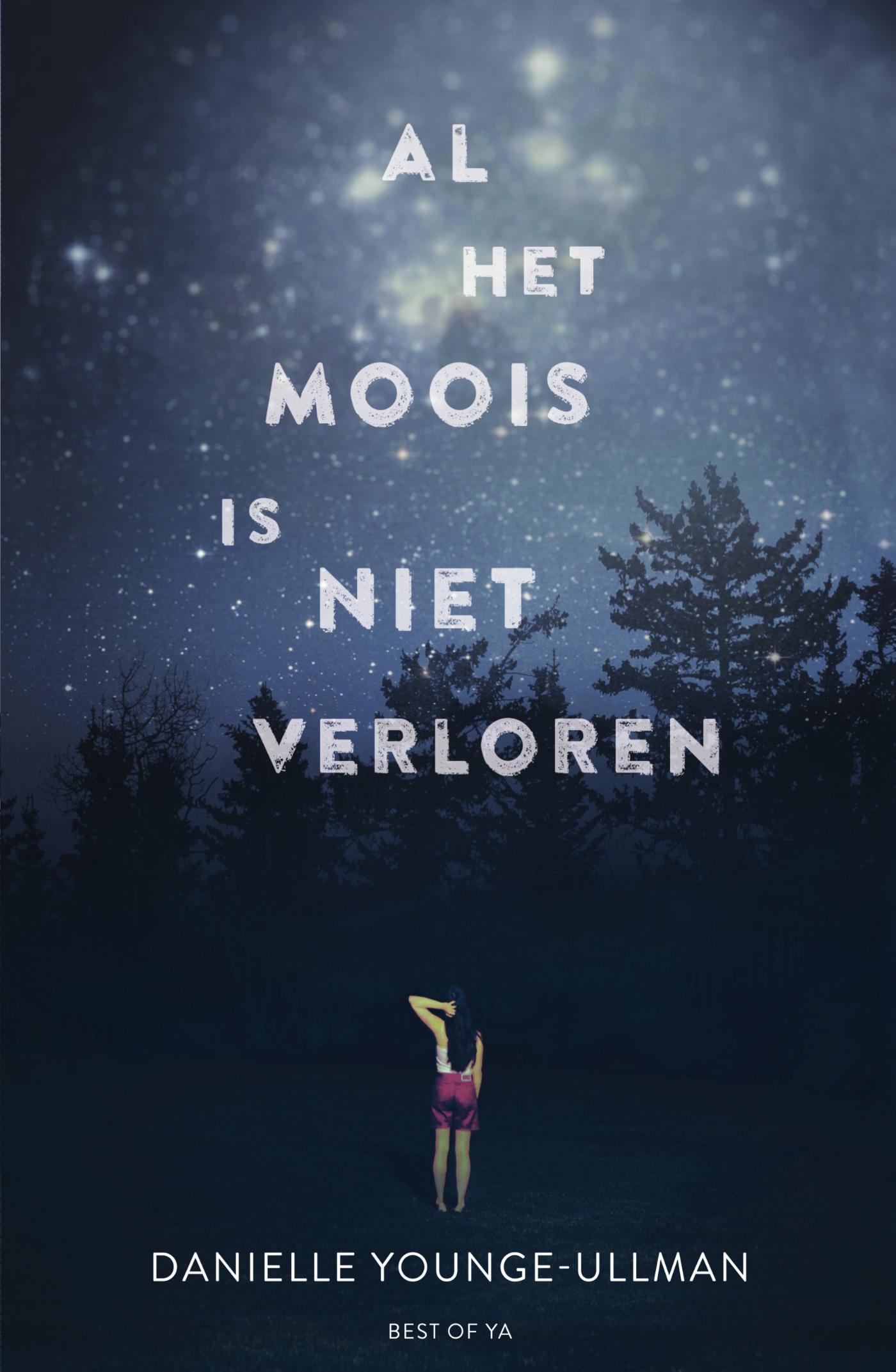 Omslag van Al het moois is niet verloren