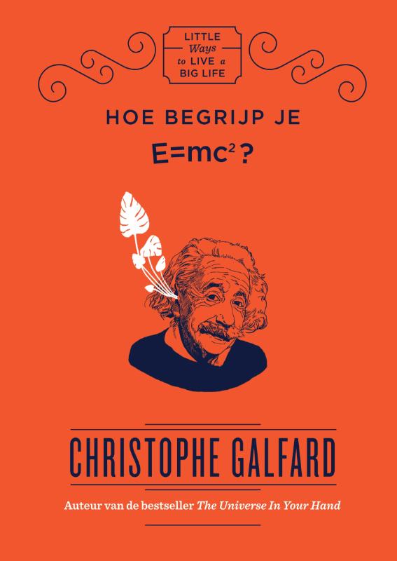 Omslag van Hoe begrijp je E=MC2?