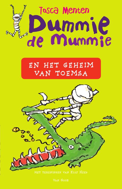 Omslag van Dummie de mummie en het geheim van Toemsa