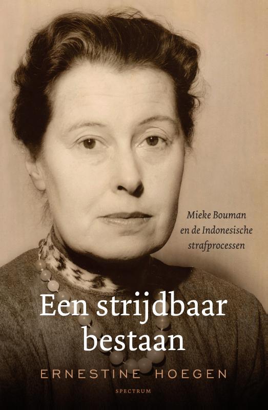 Omslag van Een strijdbaar bestaan