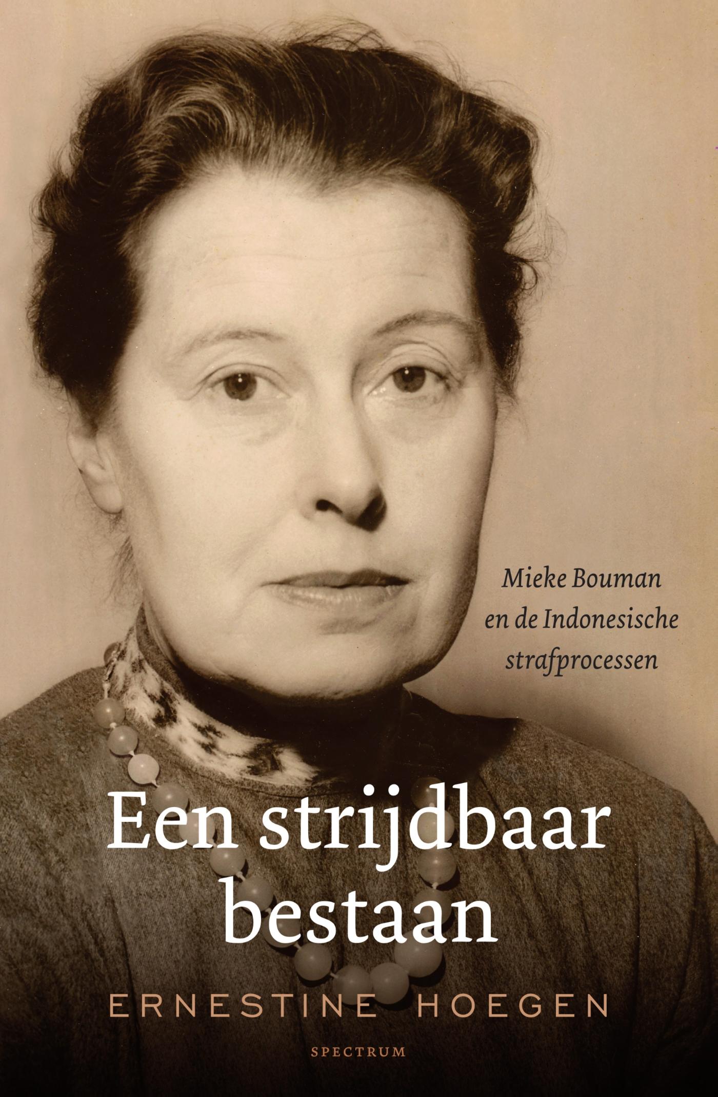 Omslag van Een strijdbaar bestaan