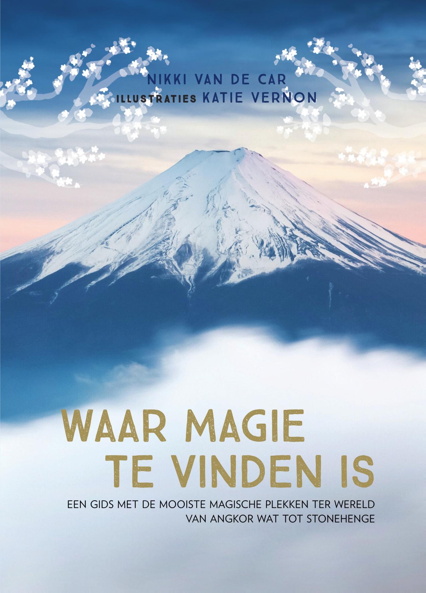 Omslag van Waar magie te vinden is