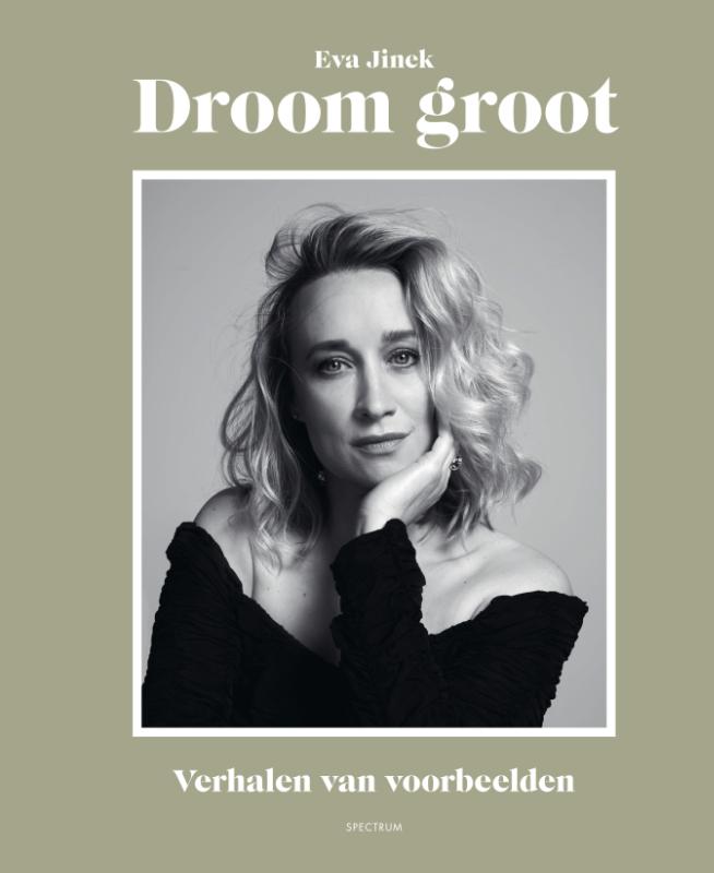 Omslag van Droom groot