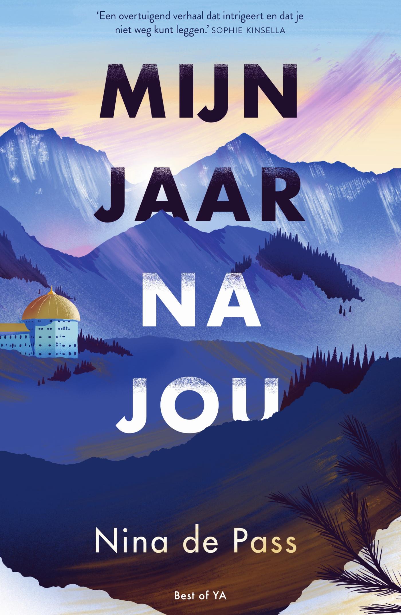 Omslag van Mijn jaar na jou