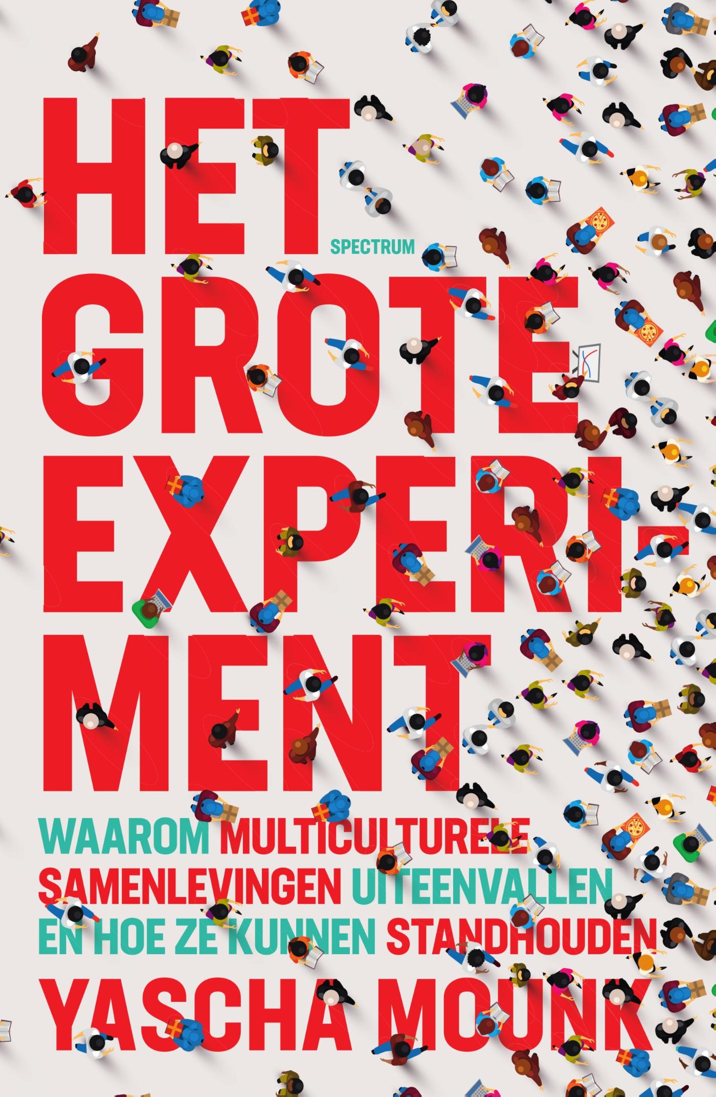 Omslag van Het grote experiment