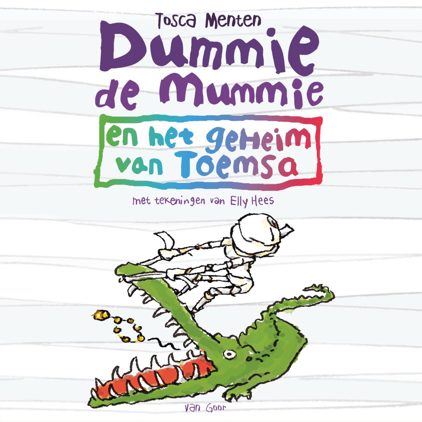 Omslag van Dummie de mummie en het geheim van Toemsa
