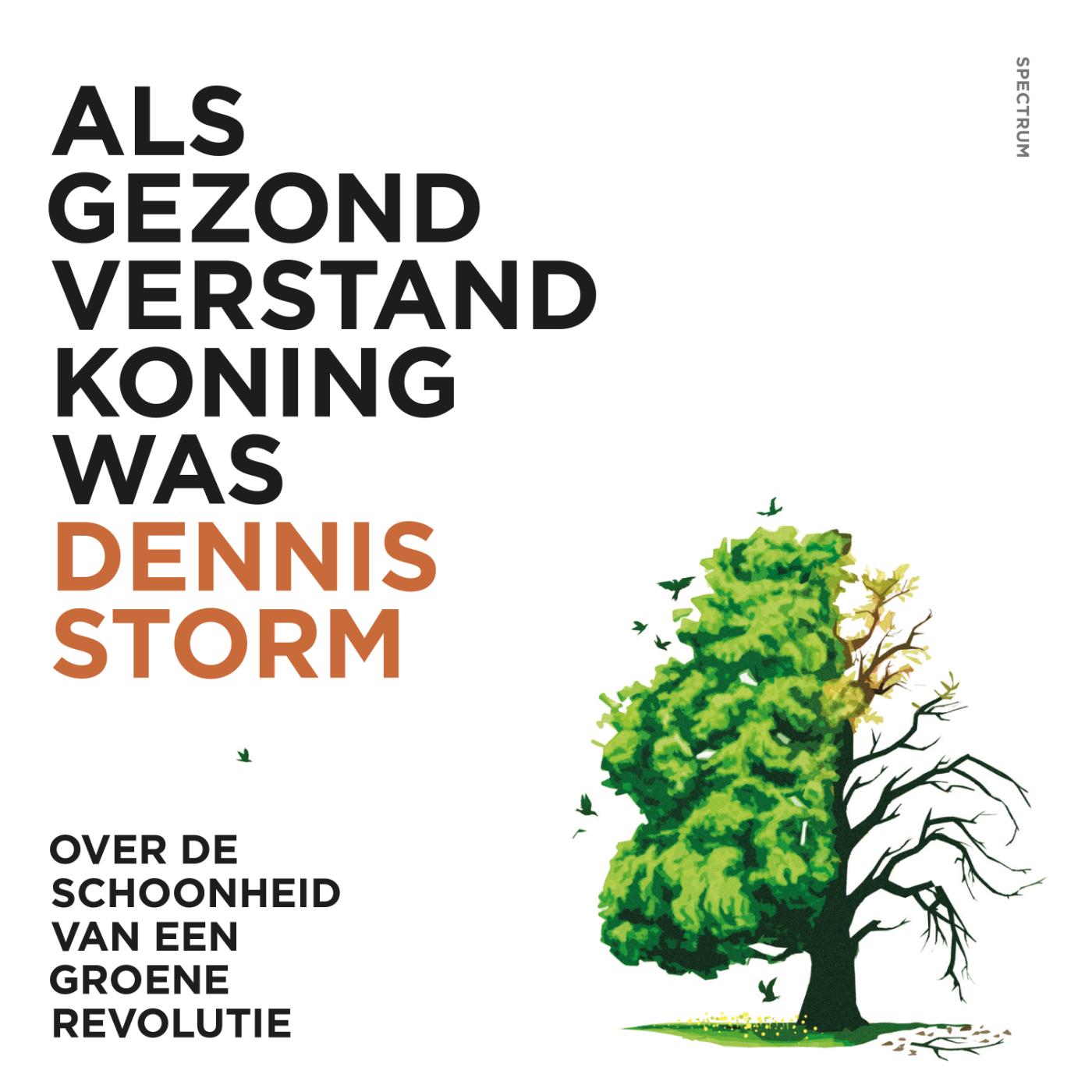 Omslag van Als gezond verstand koning was