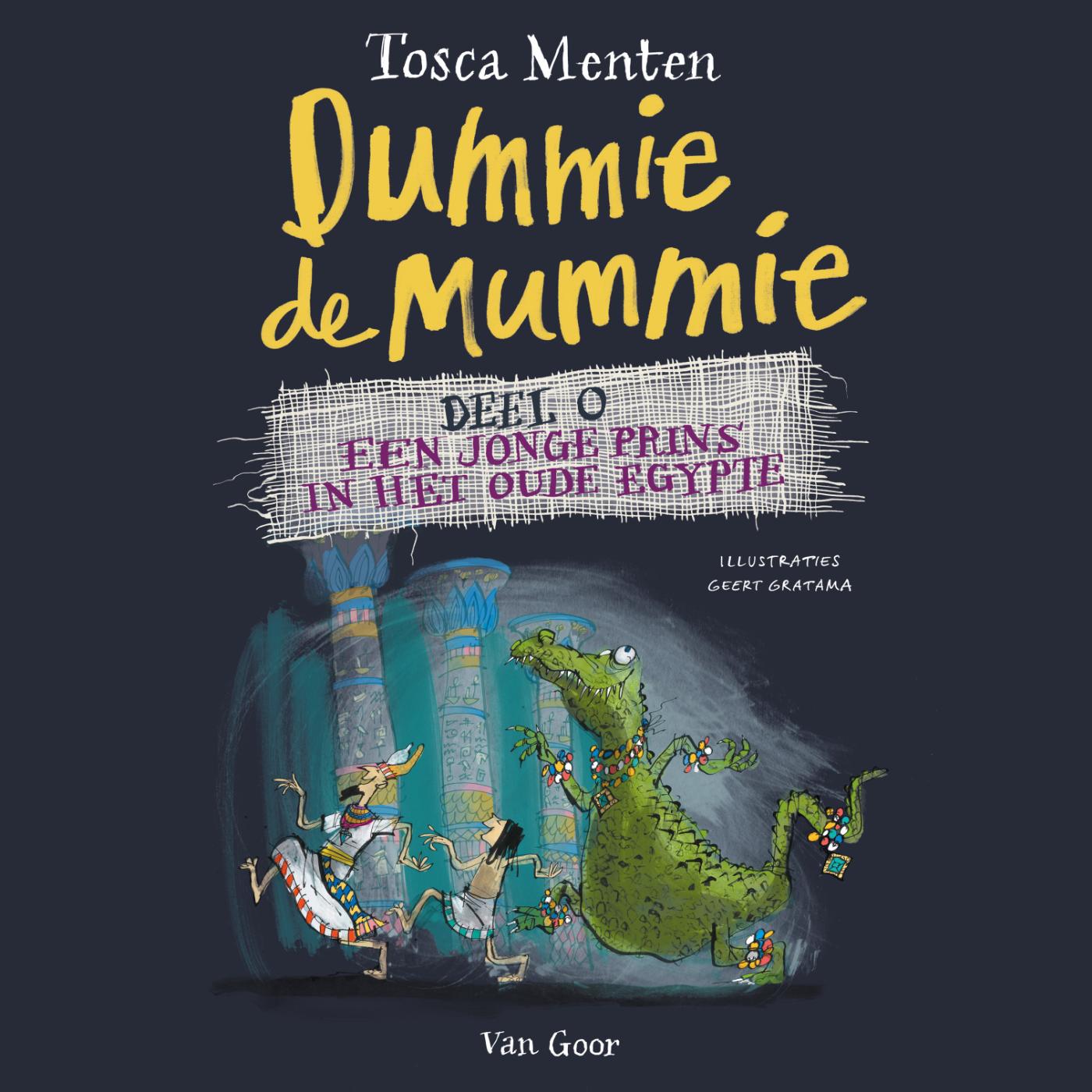 Omslag van Dummie de mummie deel 0