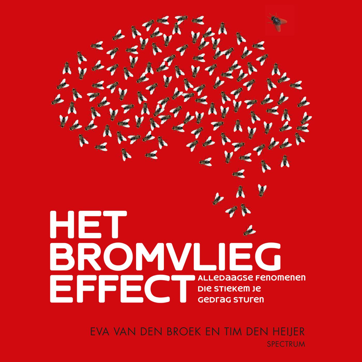 Omslag van Het bromvliegeffect
