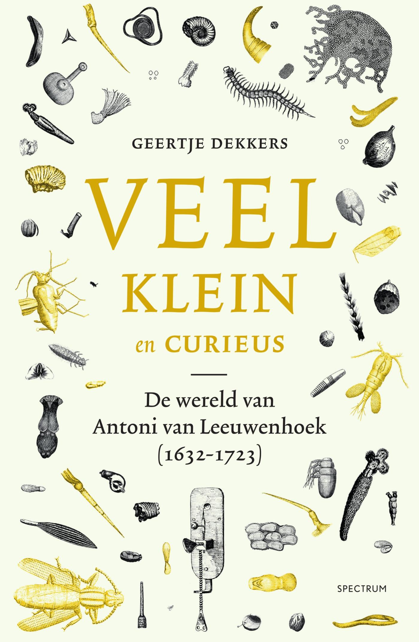 Omslag van Veel, klein en curieus