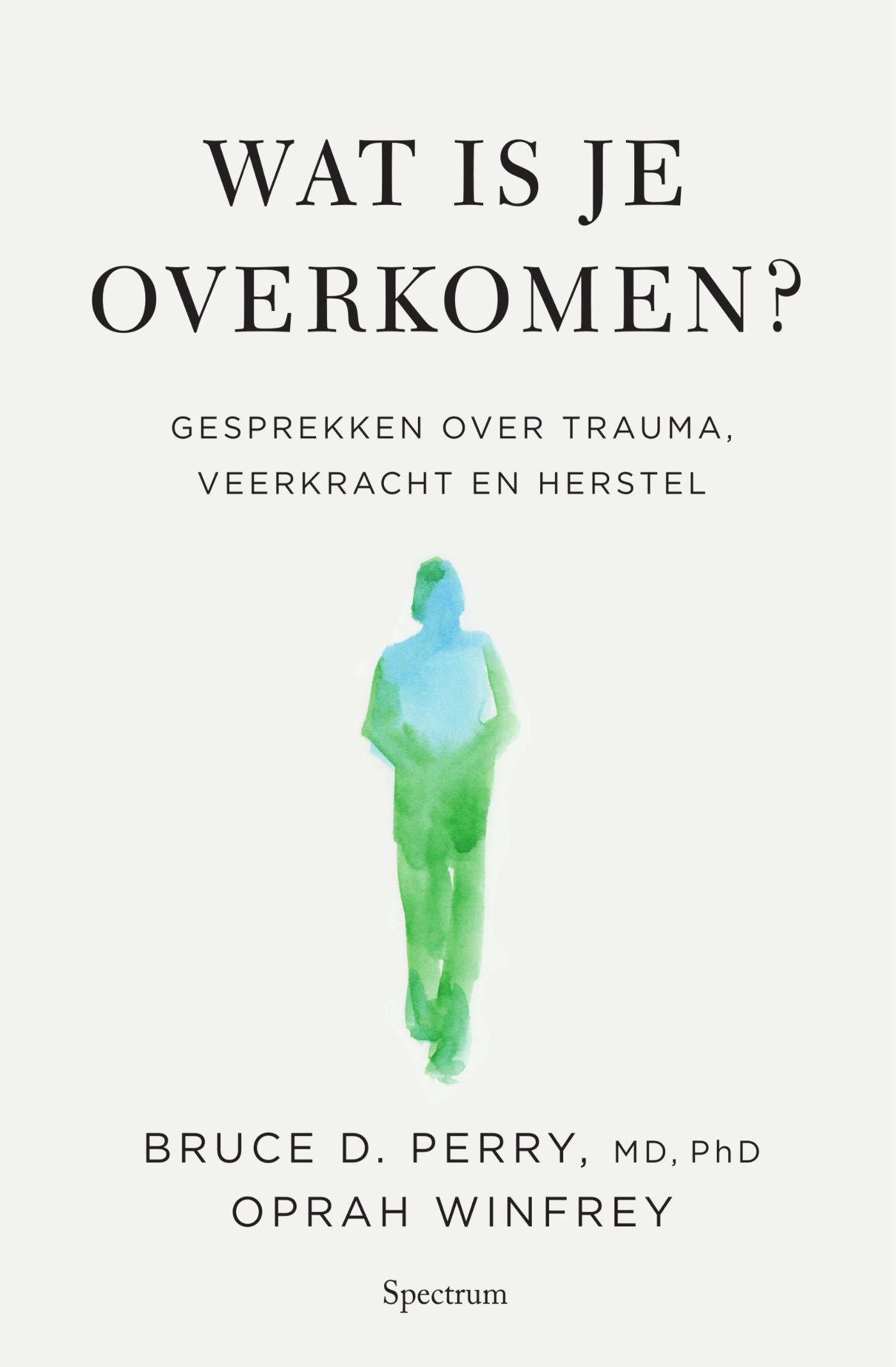 Omslag van Wat is je overkomen?