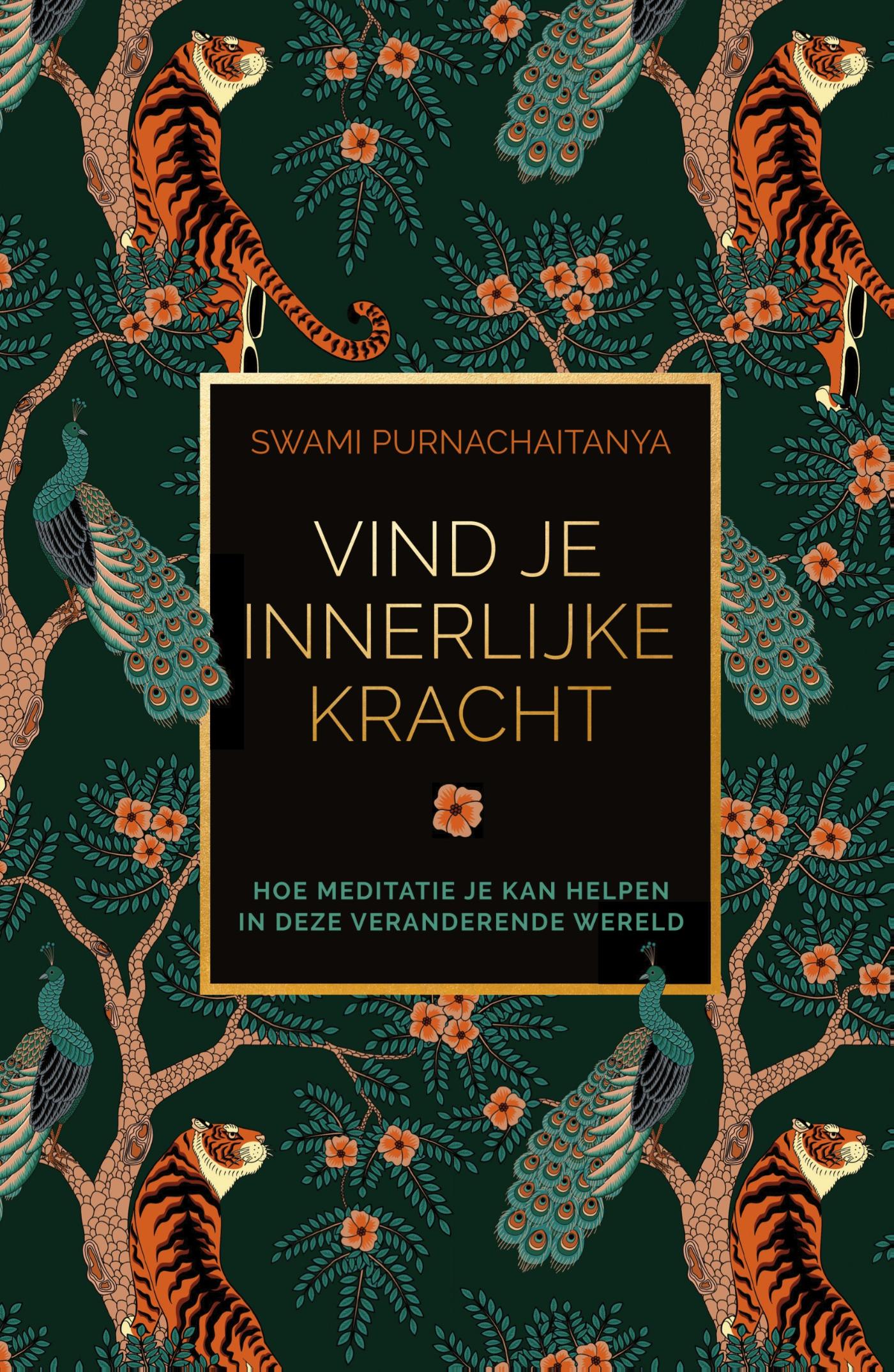 Omslag van Vind je innerlijke kracht