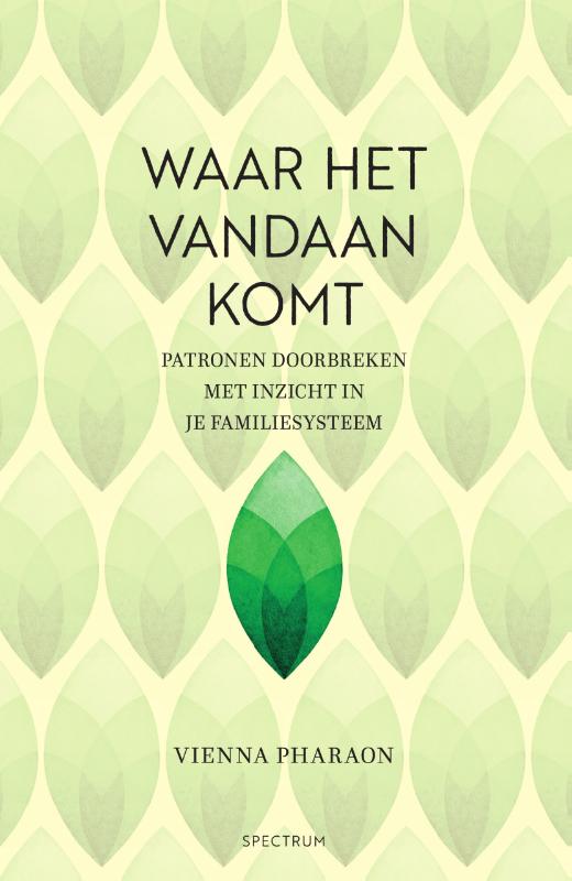 Omslag van Waar het vandaan komt
