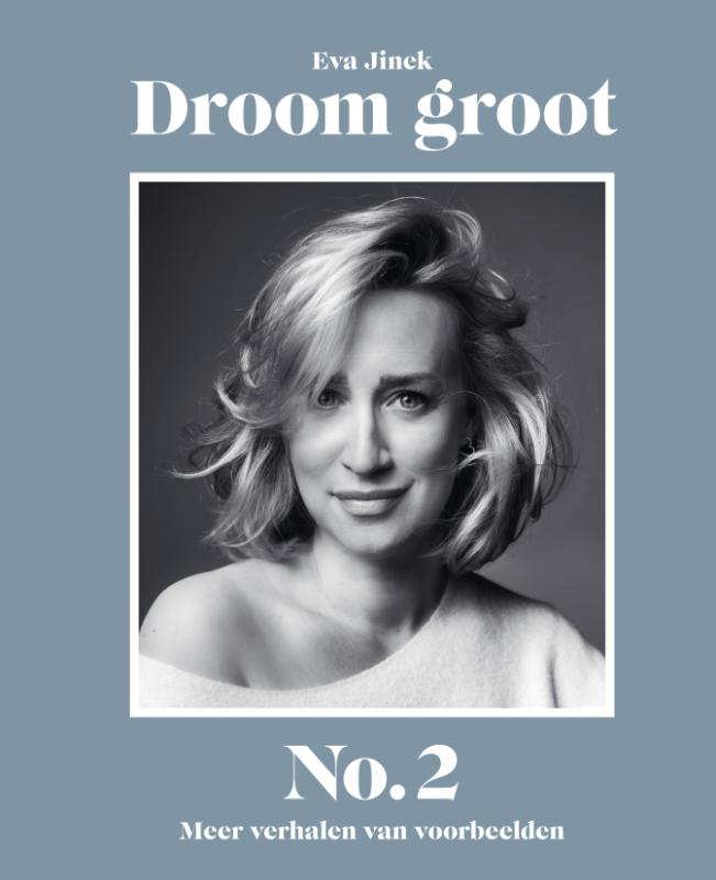 Omslag van Droom groot No. 2