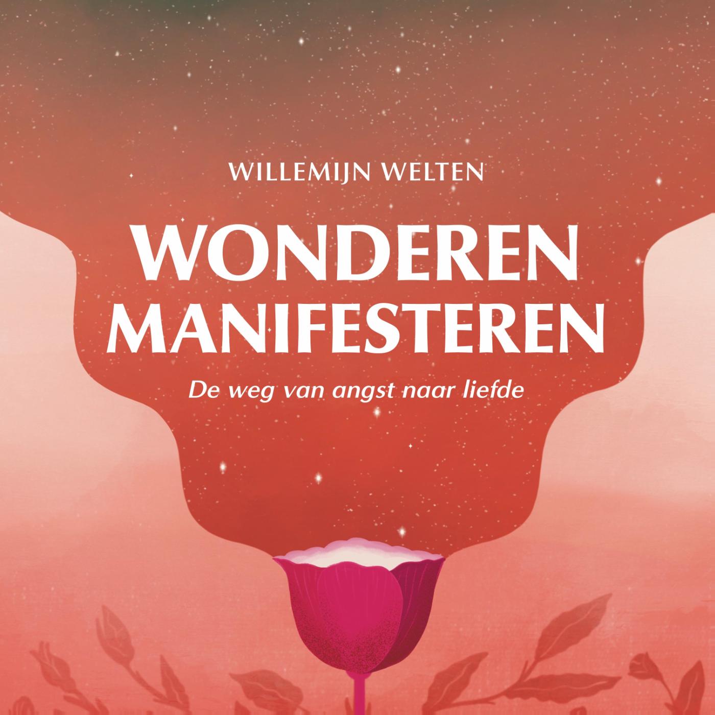 Omslag van Wonderen manifesteren
