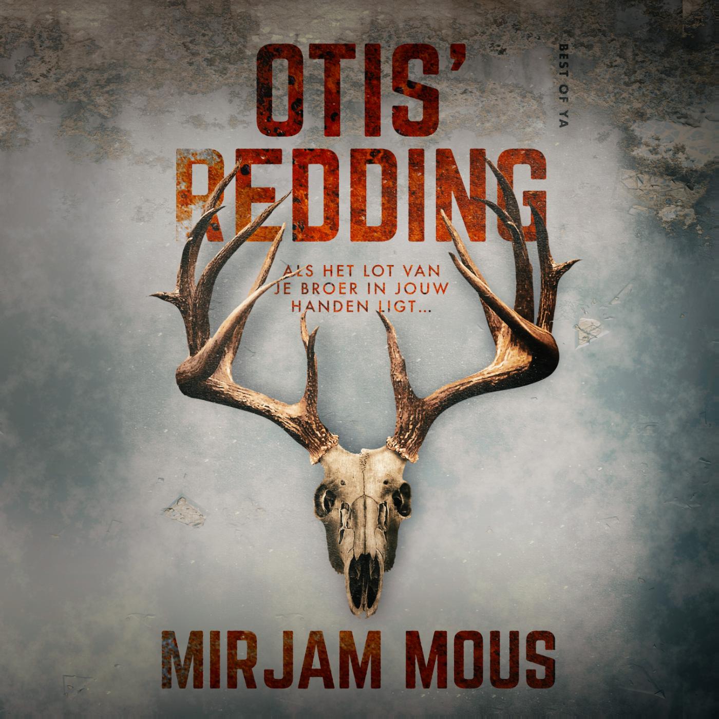 Omslag van Otis' redding