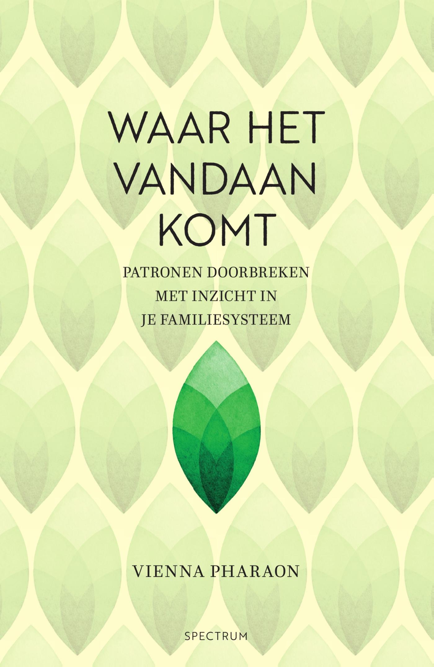 Omslag van Waar het vandaan komt