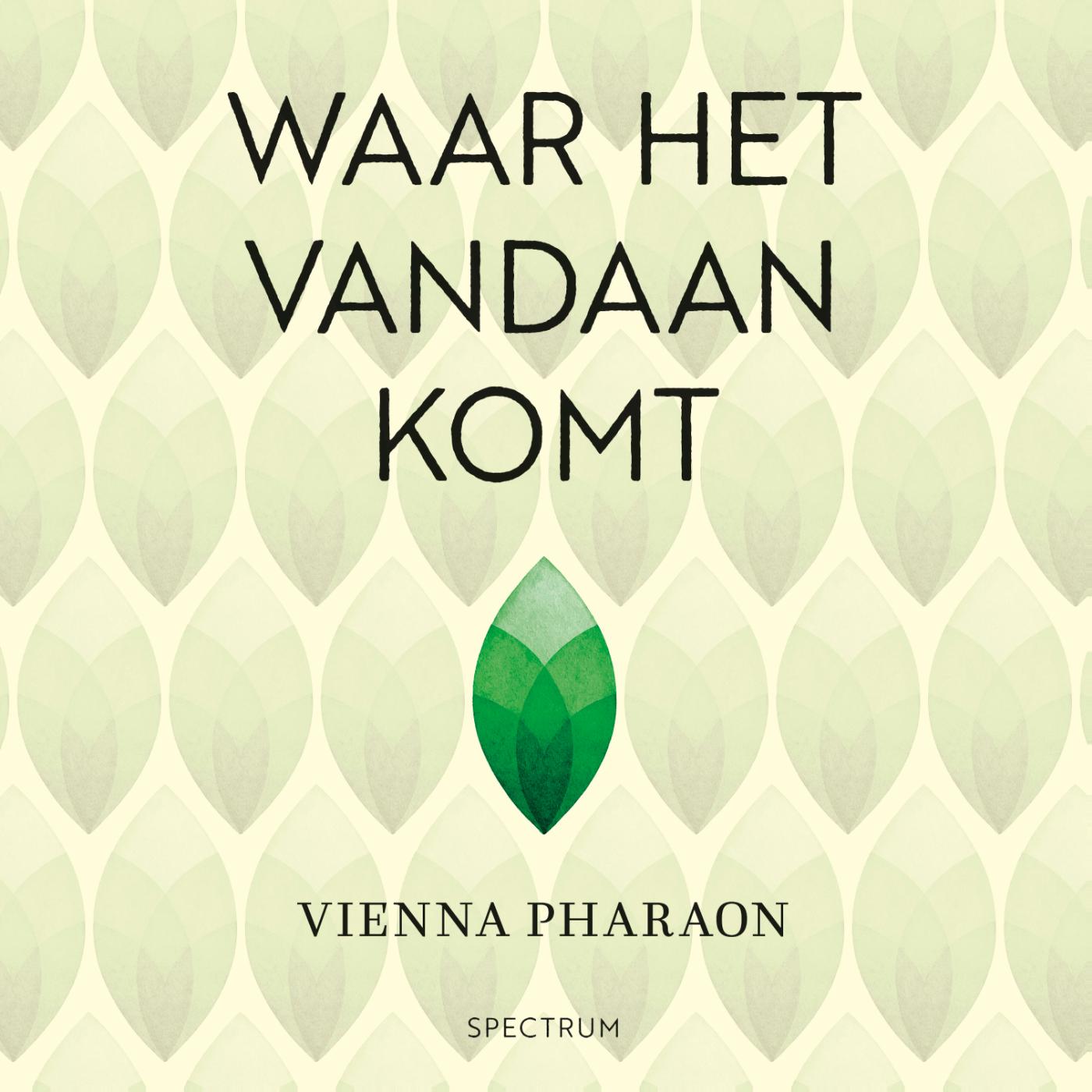 Omslag van Waar het vandaan komt