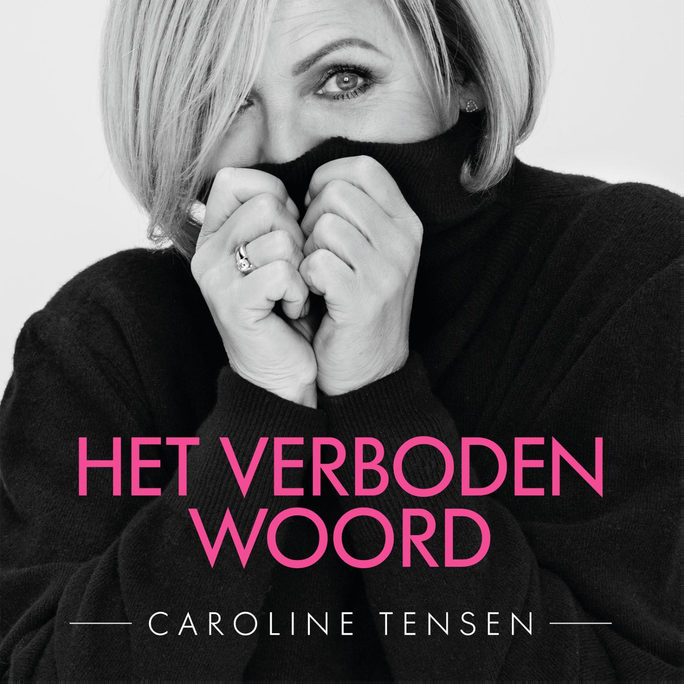 Omslag van Het verboden woord