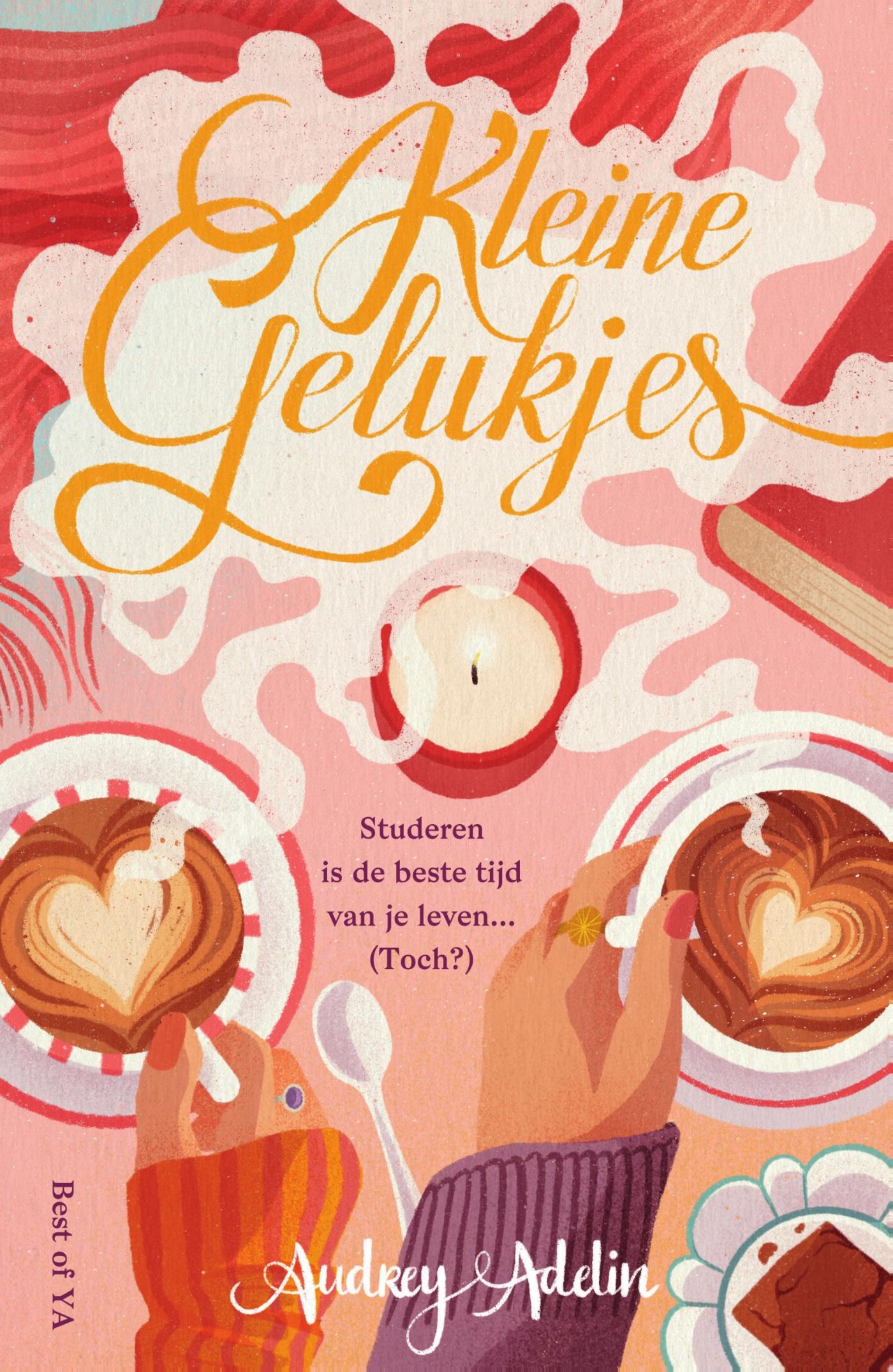 Omslag van Kleine gelukjes