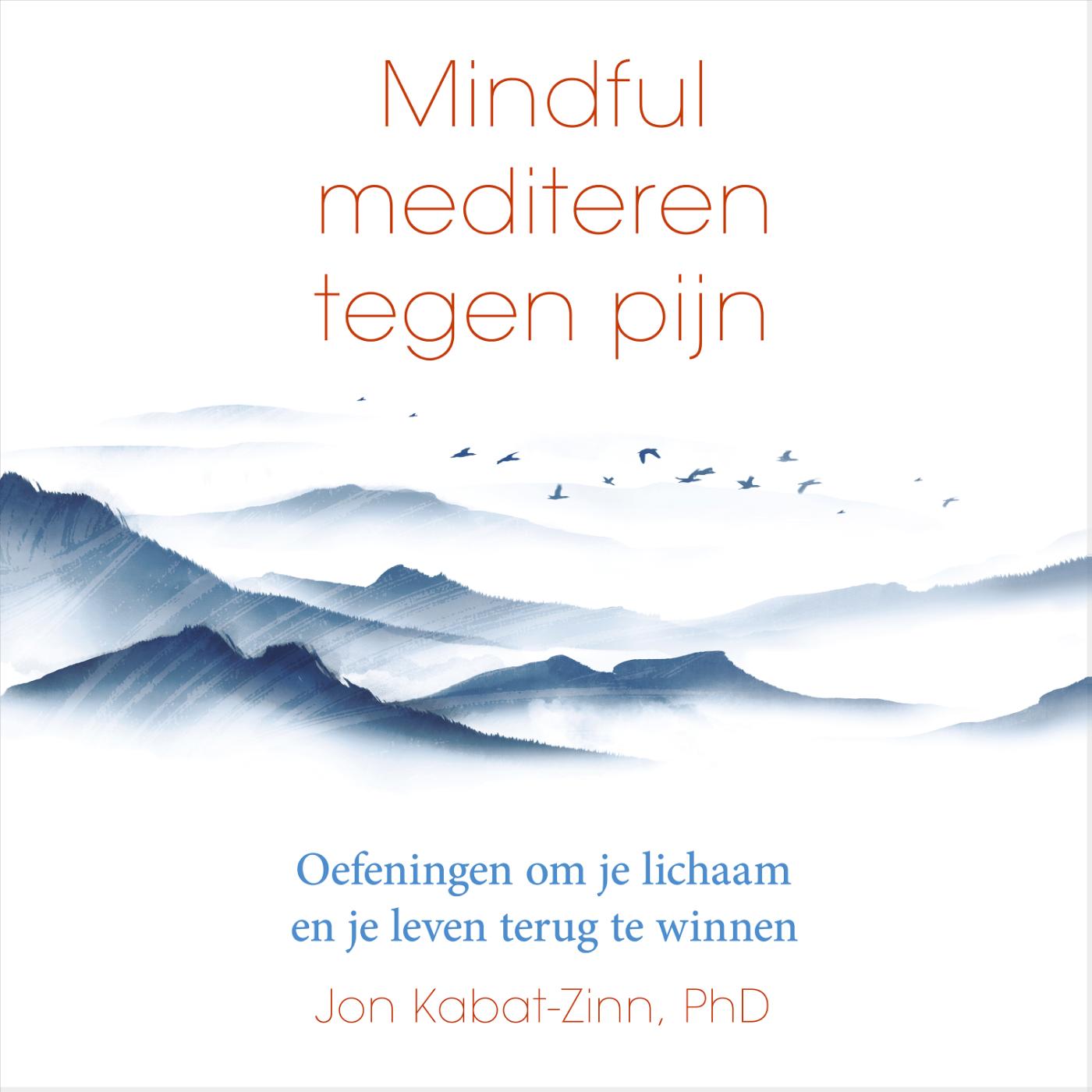 Omslag van Mindful mediteren tegen pijn