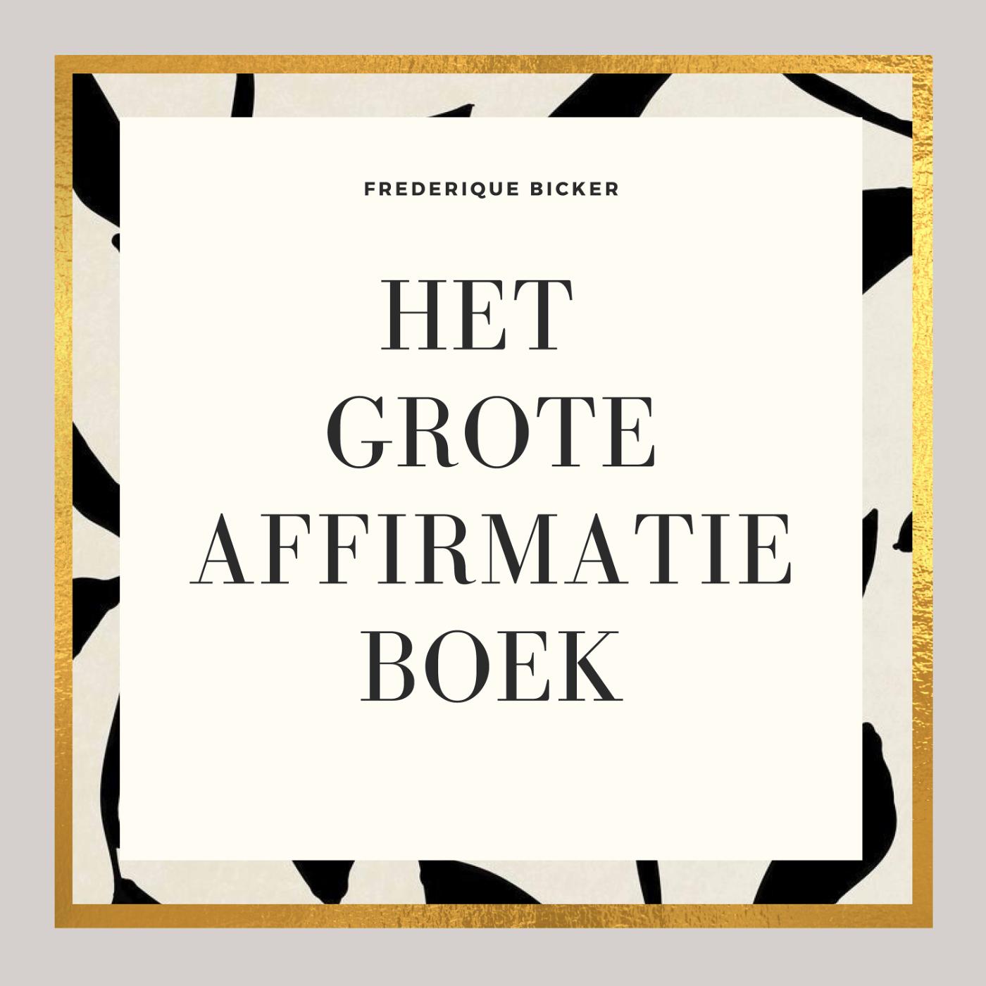 Omslag van Het grote affirmatieboek
