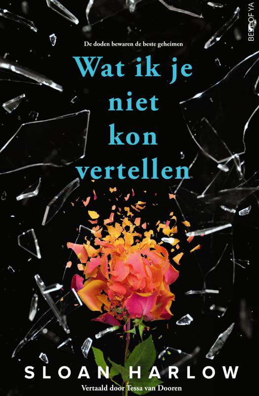 Omslag van Wat ik je niet kon vertellen