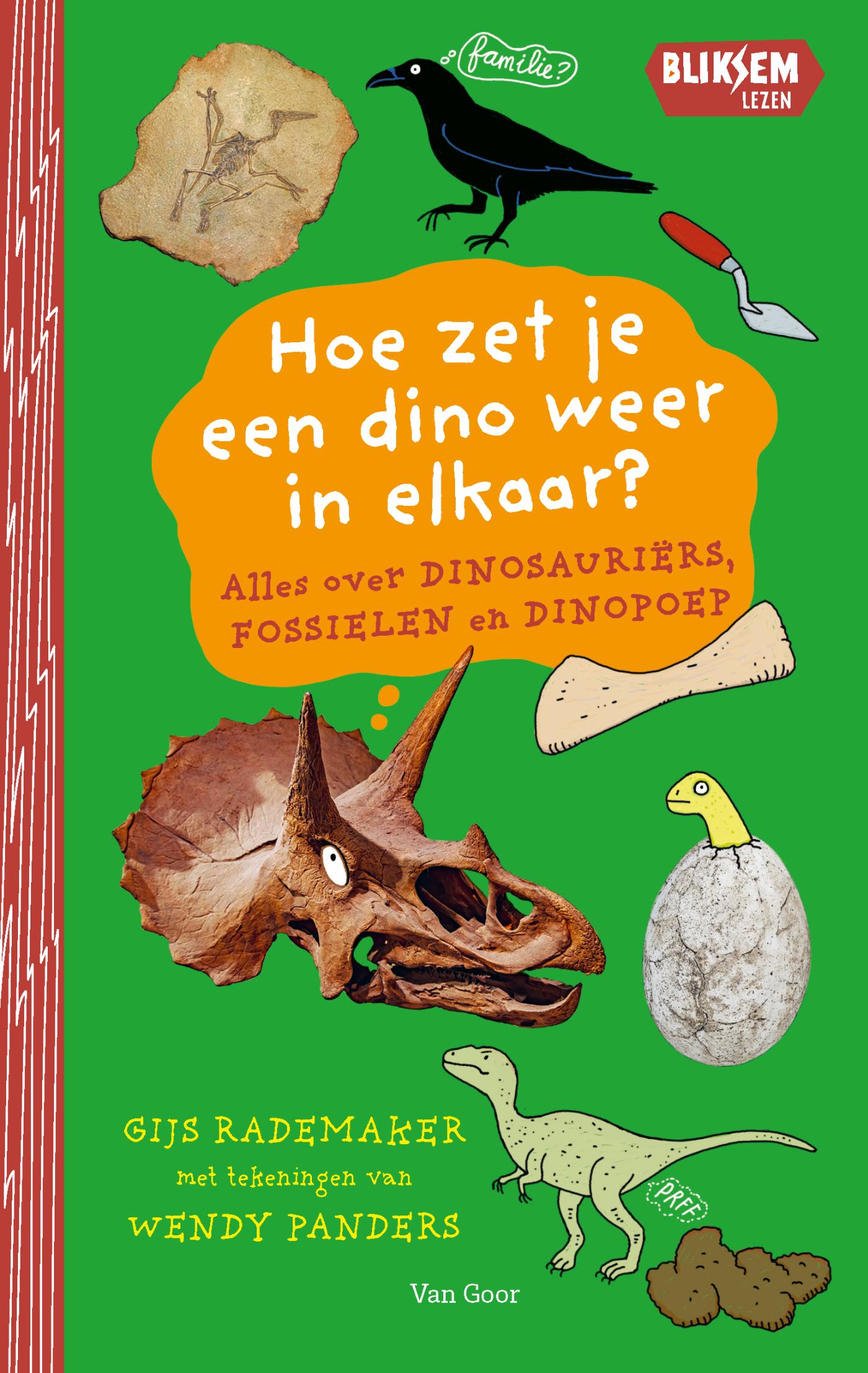 Omslag van Hoe zet je een dino weer in elkaar?