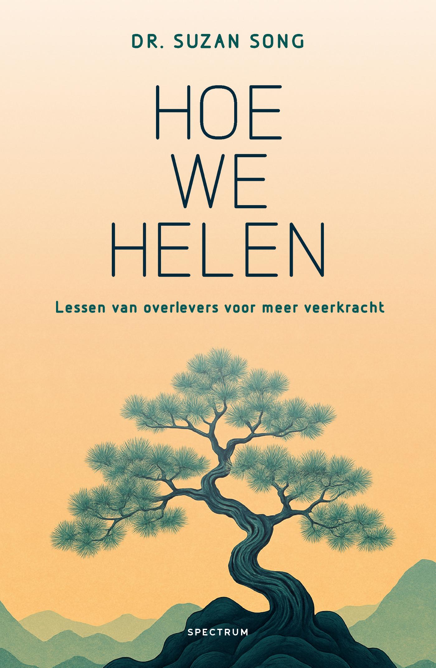 Omslag van Hoe we helen