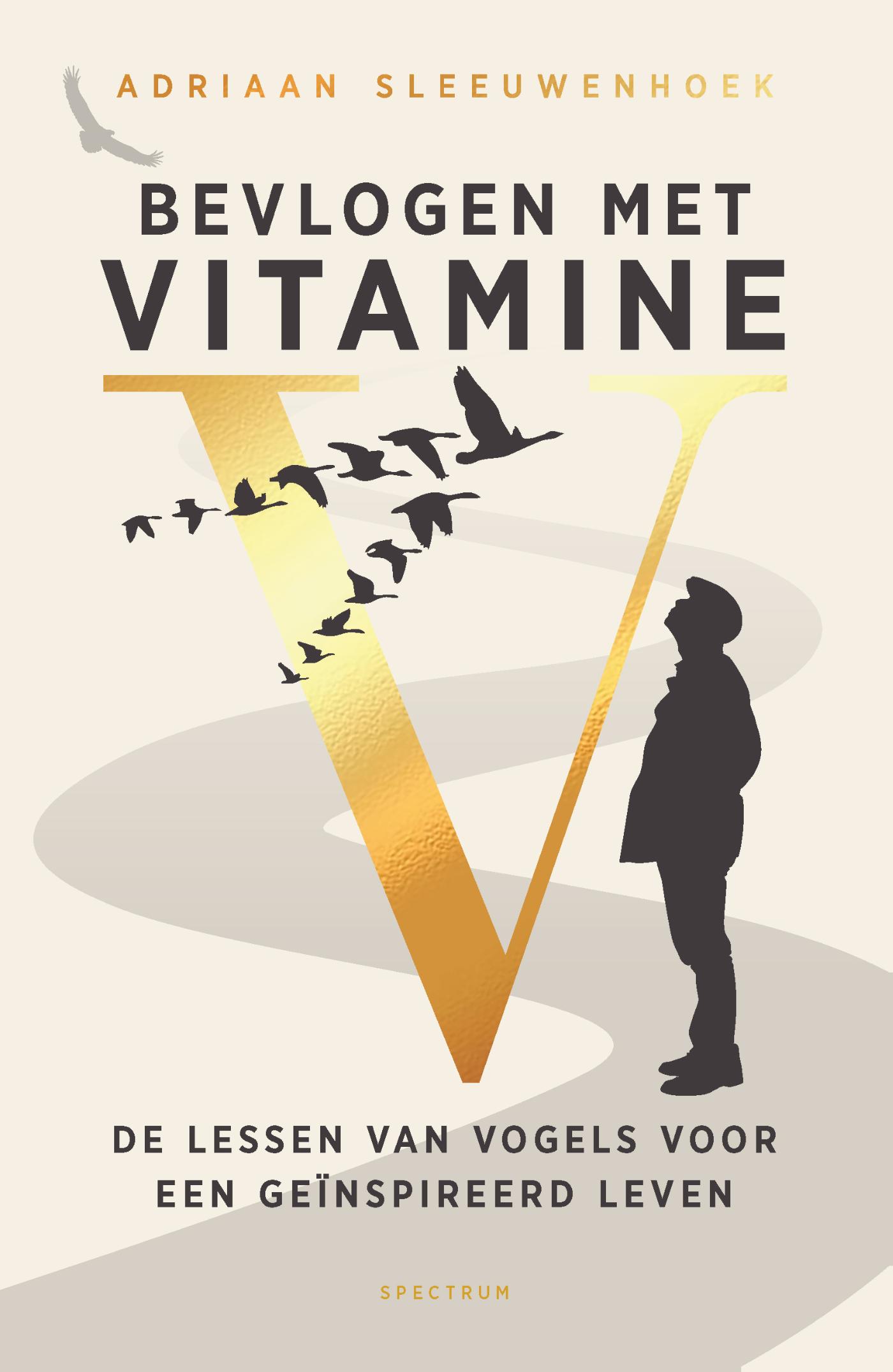 Omslag van Bevlogen met vitamine V