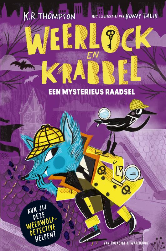 Omslag van Een mysterieus raadsel