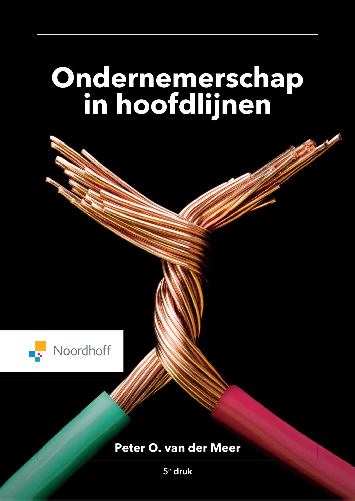 Omslag van Ondernemerschap in Hoofdlijnen