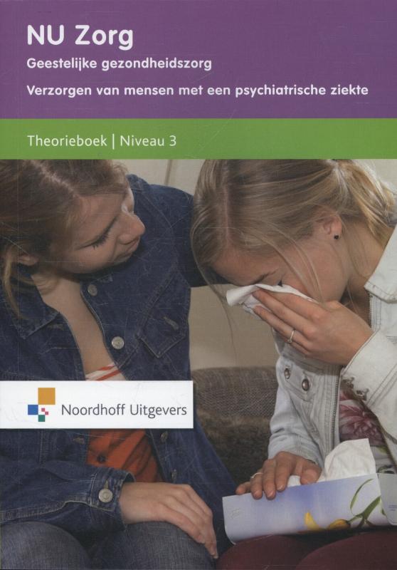 Omslag van Theorieboek Niveau 3
