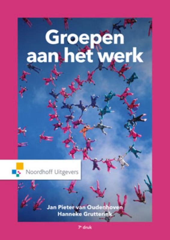 Omslag van Groepen aan het werk