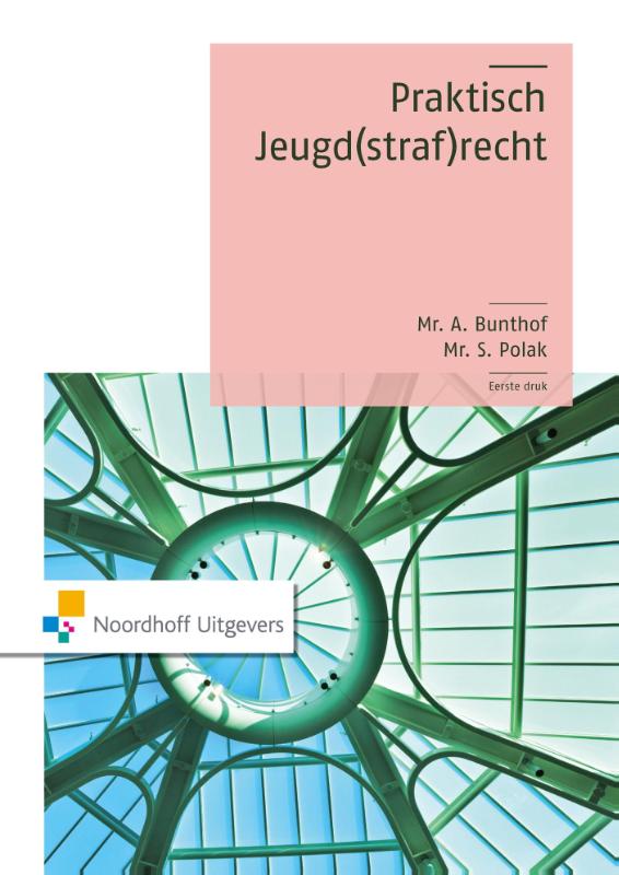 Omslag van Praktisch jeugd(straf)recht