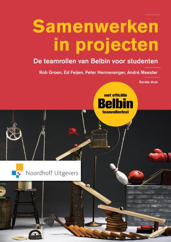 Omslag van Samenwerken in projecten
