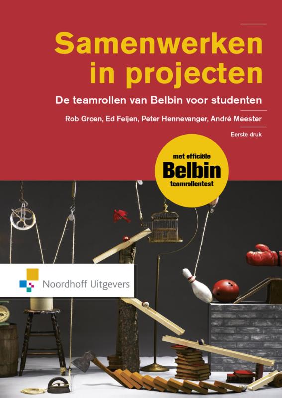 Omslag van Samenwerken in projecten