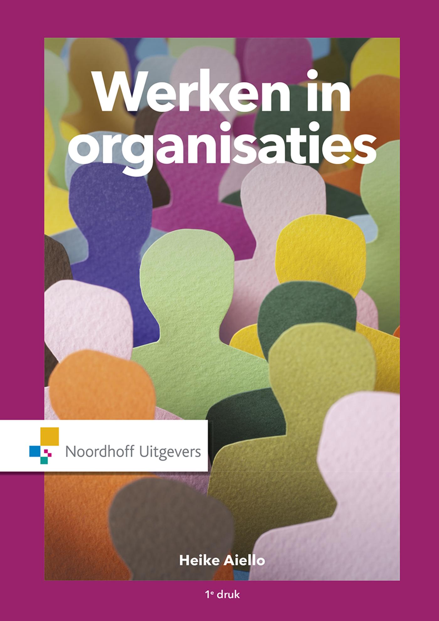 Omslag van Werken in organisaties