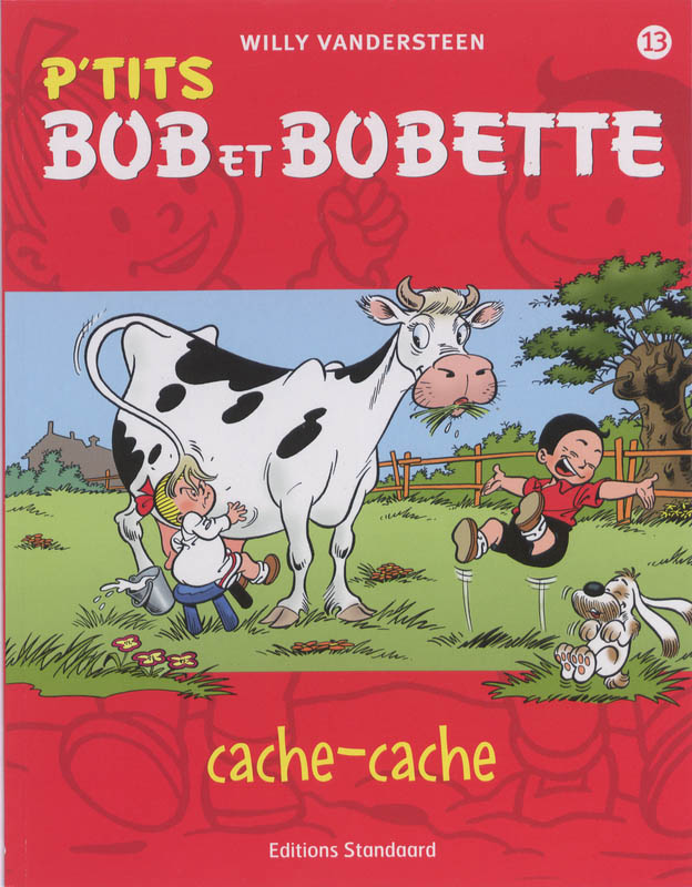 Omslag van Cache-cache