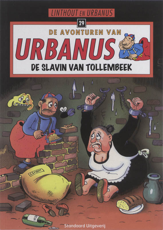 Omslag van De slavin van Tollembeek