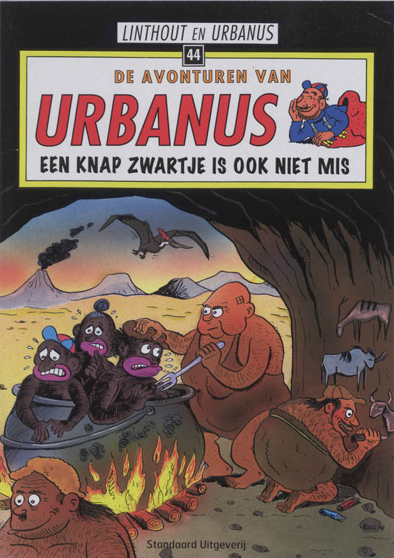 Omslag van Een knap zwartje is ook niet mis
