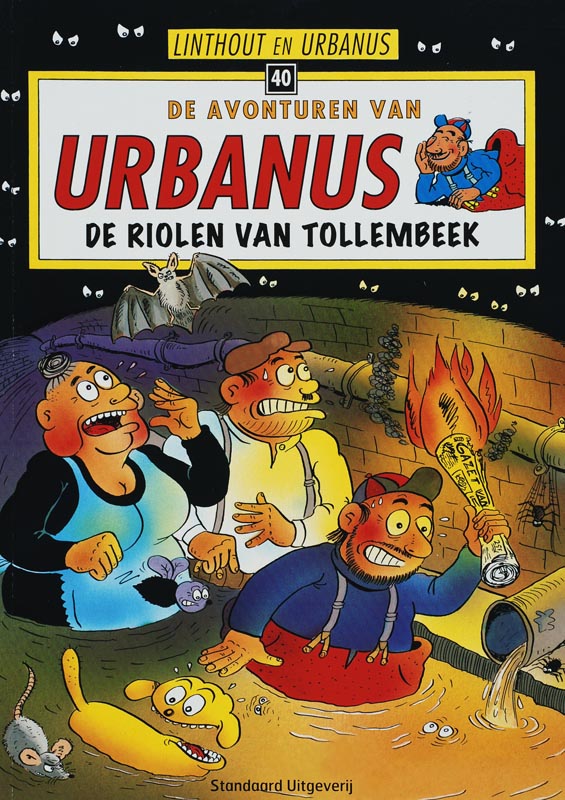 Omslag van De riolen van Tollembeek